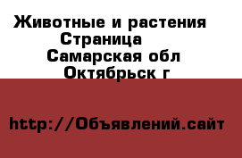  Животные и растения - Страница 12 . Самарская обл.,Октябрьск г.